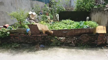 ĐẤT LẠI ĐÀ, CẠNH VIN CỔ LOA ĐÔNG ANH, NGÕ NÔNG 15M RA Ô TÔ TRÁNH, GIÁ RẺ