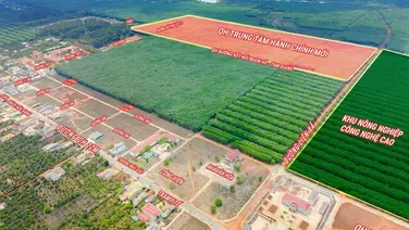 Giỏ Hàng Chính Chủ, 3 Lô Ngay Trung Tâm Hành Chính Mới Phú Lộc, Sổ Sẵn, Giá Đầu Tư