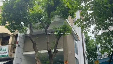 Bán Tòa Nhà Mặt Tiền Khu Đường Hoa - Phan Xích Long, Quận Phú Nhuận. Ngang 6,3m - Hầm + 4 Tầng