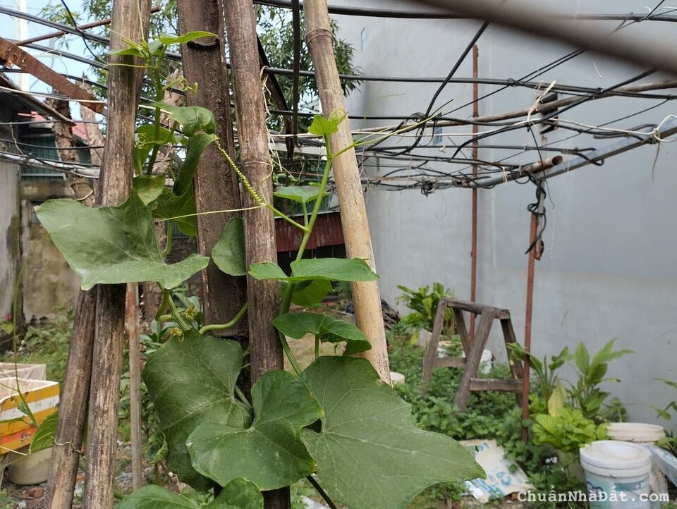 HOT HOT: BÁN ĐẤT ĐẸP TẠI VÂN CANH, GIÁ SIÊU HỜI 8,5 TỶ, DIỆN TÍCH 85M, SÁT ÔTÔ, NGÕ THÔNG