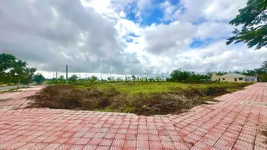 Đất Nền Liền Kề Sổ Đỏ Ngay Khu Đô Thị Hội An 150m2 giá chỉ 14,3tr/m2 + Đường nhựa 16,5m -17.5m