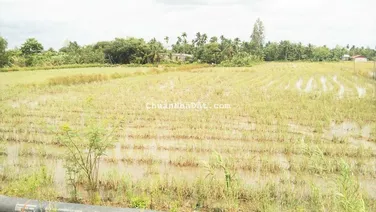 Đất 42x65 mặt tiền Quốc Lộ 91B đoạn cầu Ông Xe