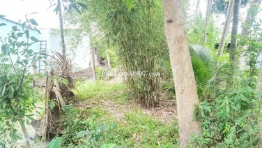 Đất 5.5x65 tổng 401m2 hẻm nhựa Tỉnh Lộ 923 gần chợ Ba Se