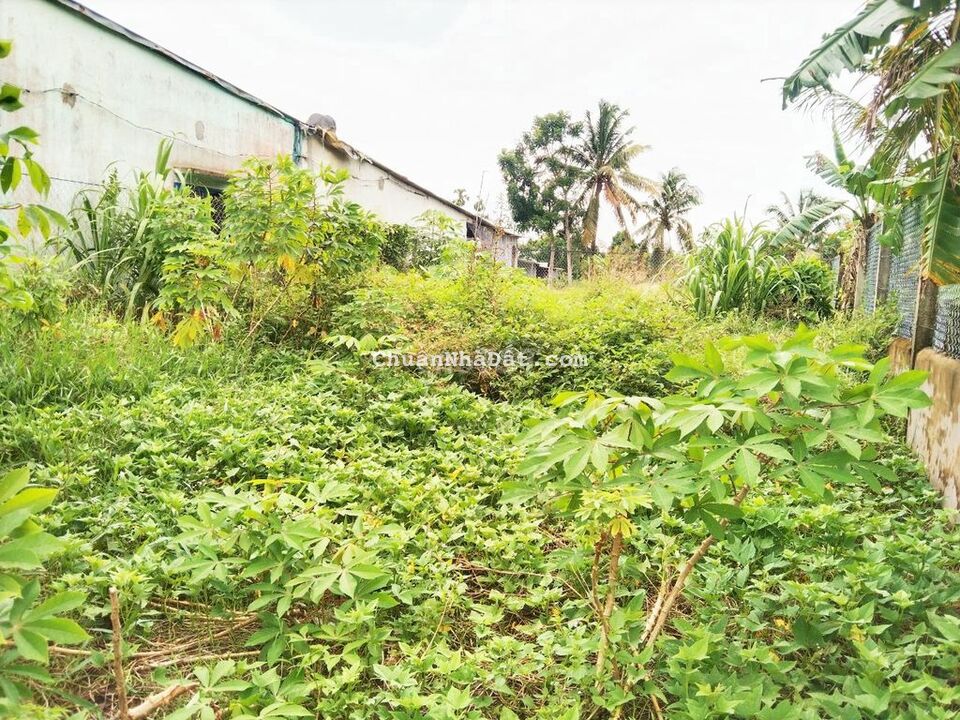 Đất 8x11 thổ cư Rạch Tắc Ông Thục Lộ 922 Trường Lạc