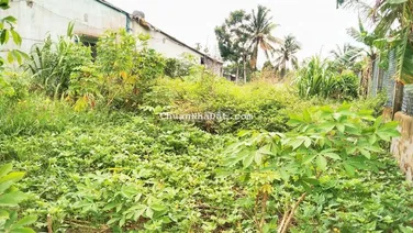 Đất 8x11 thổ cư Rạch Tắc Ông Thục Lộ 922 Trường Lạc