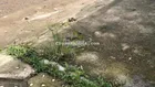 lô đất đẹp chờ chủ đẹp