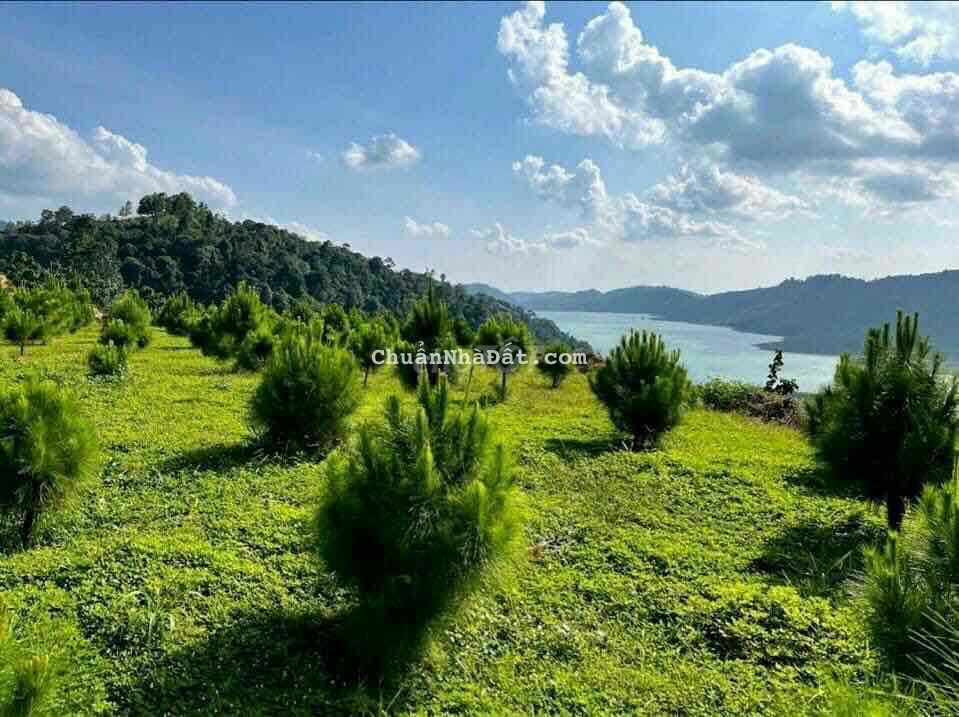 Bán 1 Sào Đất View Hồ Gần TP Đà Lạt.Sang Tên Ngay