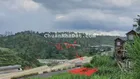 Bán đất view đồi thông không chắn, đường nhựa 4m - Xô Viết Nghệ Tĩnh, Phường 7, Đà Lạt