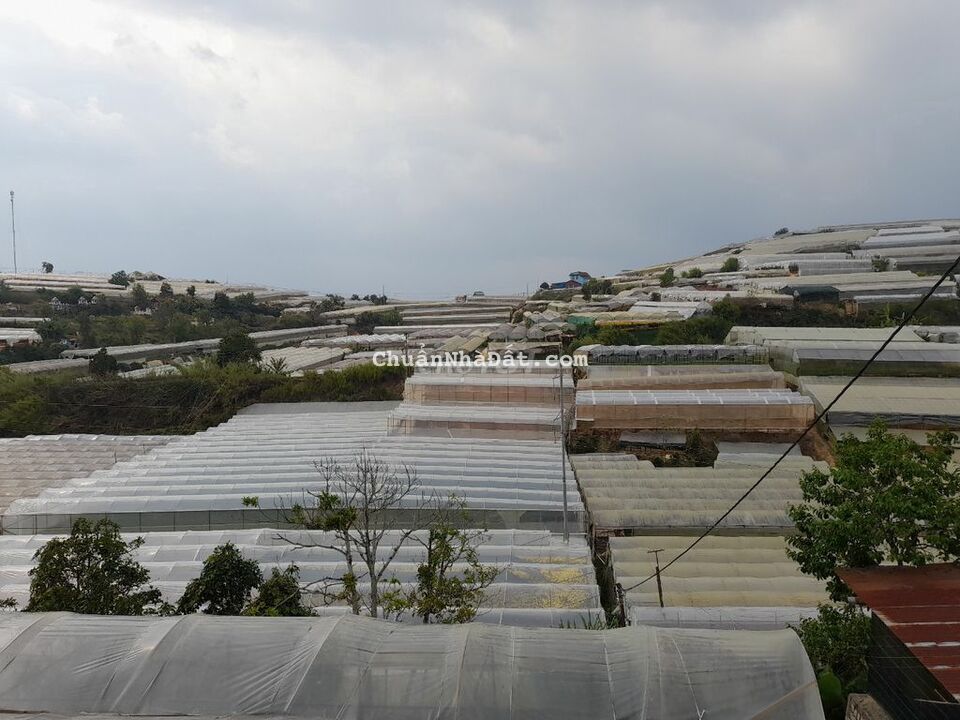 Bán đất view đẹp mặt tiền đường nhựa trung tâm Đà Lạt, sổ riêng 335m