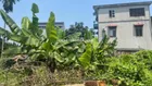 Chính chủ cần bán 45m2 đất tại Đông Anh, Hà Nội giá công khai chỉ 1,1 tỷ, LH ngay 0334412345