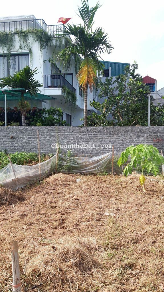 ĐẤT ĐẸP, NGÕ THÔNG, TÂY BẦU, KIM CHUNG, ĐÔNG ANH, HÀ NỘI.