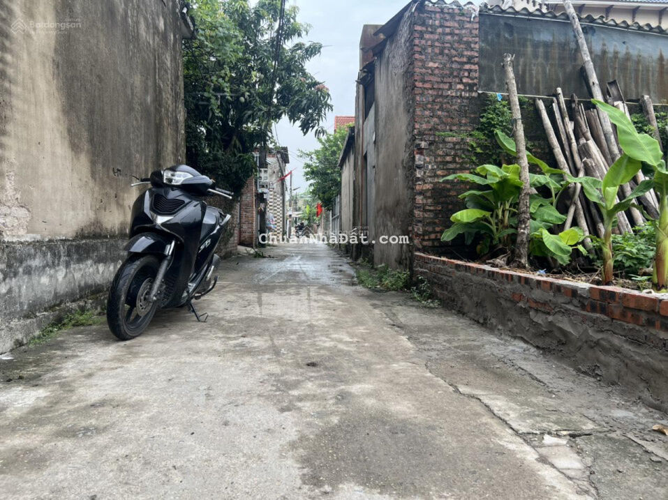 CHÍNH CHỦ BÁN 62M ĐẤT QUAN ÂM ,BẮC HỒNG  ĐÔNG ANH ,HÀ NỘI.ĐƯỜNG THÔNG Ô TÔ VÀO TẬN ĐẤT .GIÁ 24TR