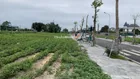 Bán đất đấu giá - giá rẻ nhất Đông Anh - TP Hà Nội