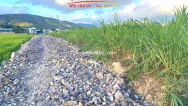 TÌM ĐÂU HƠN 2 SÀO ĐẤT 2 MT SẴN THỔ NGAY TT THỊ TRẤN HUYỆN ĐƠN DƯƠNG.