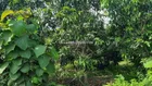 BÁN 6859M2 ĐẤT CÓ SẴN 160M2 ĐẤT Ở,CÓ 68M MẶT TIỀN ĐƯỜNG NHỰA,GIÀ RẼ