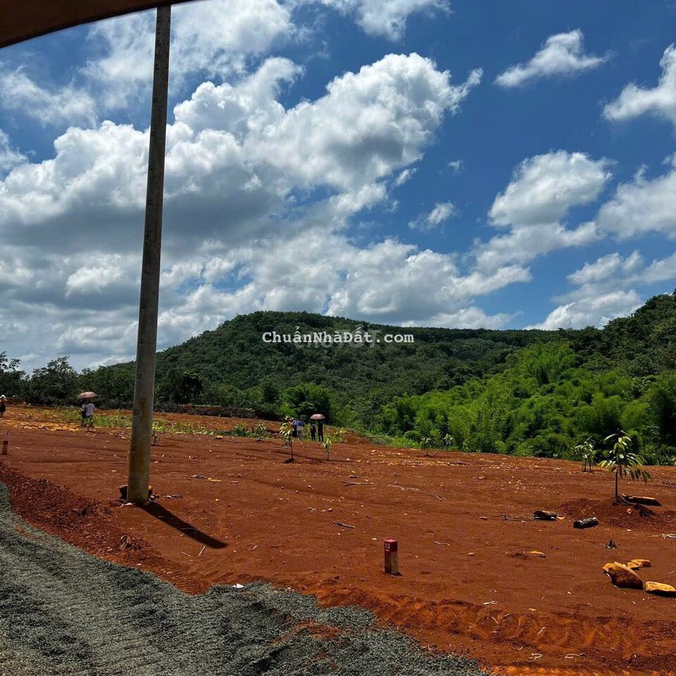 Bán đất đồng phú  mặt tiền đường nhựa 12m