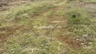 🏜RẺ SẬP SÀN_GIẢM 140TR_Bán nhanh lô đất 1070m2 Bình Phước.