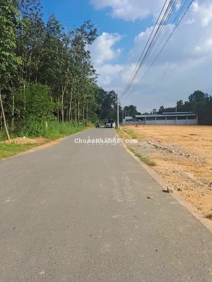 Lô đất dân gửi bán mặt tiền đường 8m giá 130tr