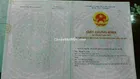 Đất 5x24 mặt tiền đường nhựa thông gần Giồng Lớn