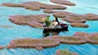 Đất Đức Trọng giá rẻ view hồ trung tâm, sân bay