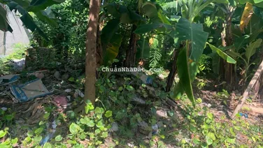 Bán lô đất Cái Tắt, An Đồng 97m2 giá chỉ 2,3x tỷ. LH 0979087664