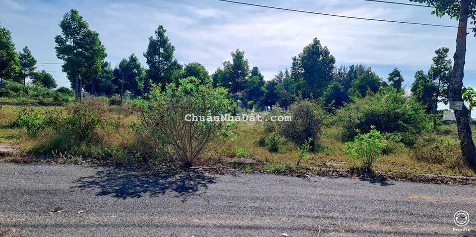 BÁN ĐẤT HÒA LONG BÀ RỊA VŨNG TÀU 299m full thổ cư