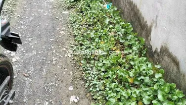 Bán đất ngộp xoay tiền làm ăn