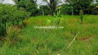 Bán miếng đất hẻm ba gác thông ấp 3 tân kiên bình chánh