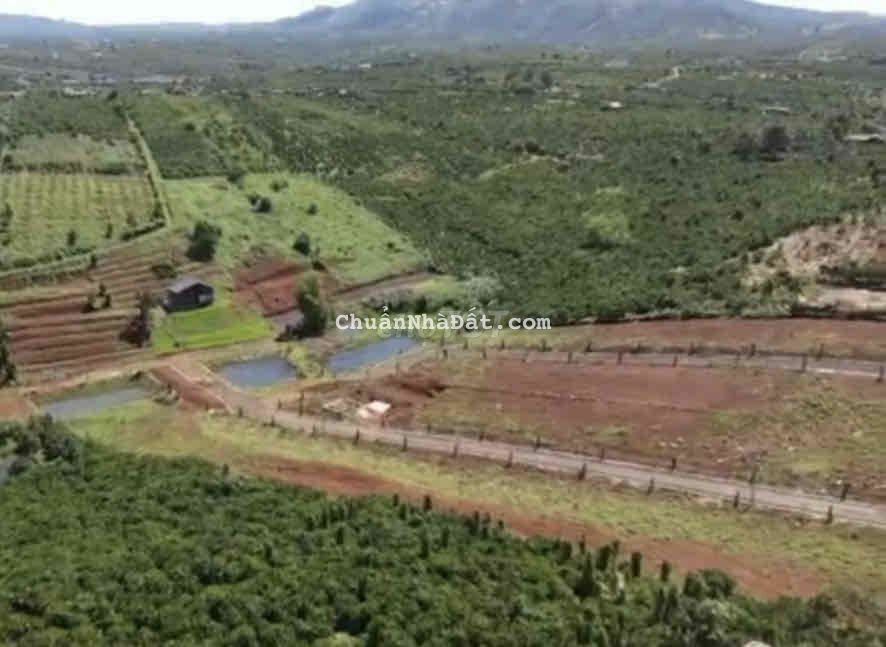 Bán Lô Đất Thổ cư Gần Làng Sinh Thái An Khê Lộc An Bảo Lộc