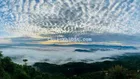 chủ ngộp bán nhanh 1000m2 ngay trung tâm , view rừng thông.
