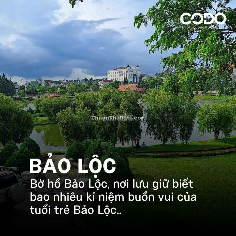 Cắt lỗ 200tr bán gấp trả nợ