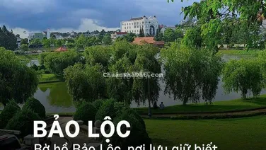 Cắt lỗ 200tr bán gấp trả nợ