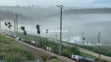 Cắt lỗ bán tháo để lâu lãi ngân hàng ăn hết vô vốn