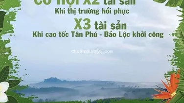 Bán đất ngộp bank