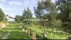 Nhà vườn nghỉ dưỡng view cực đẹp ở Bảo Lộc - có sẵn vườn cây ăn trái