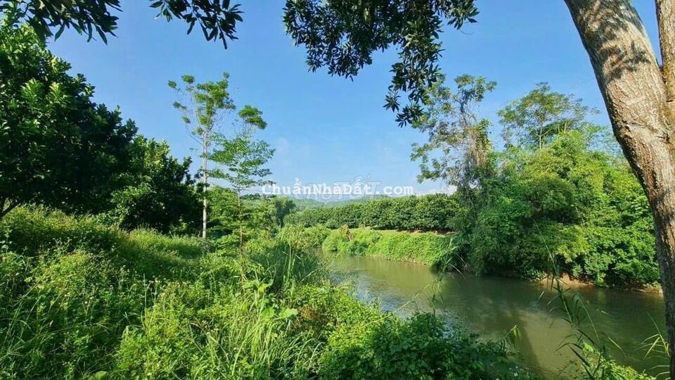 Đất sào mặt tiền đường nhựa view suối cực đẹp