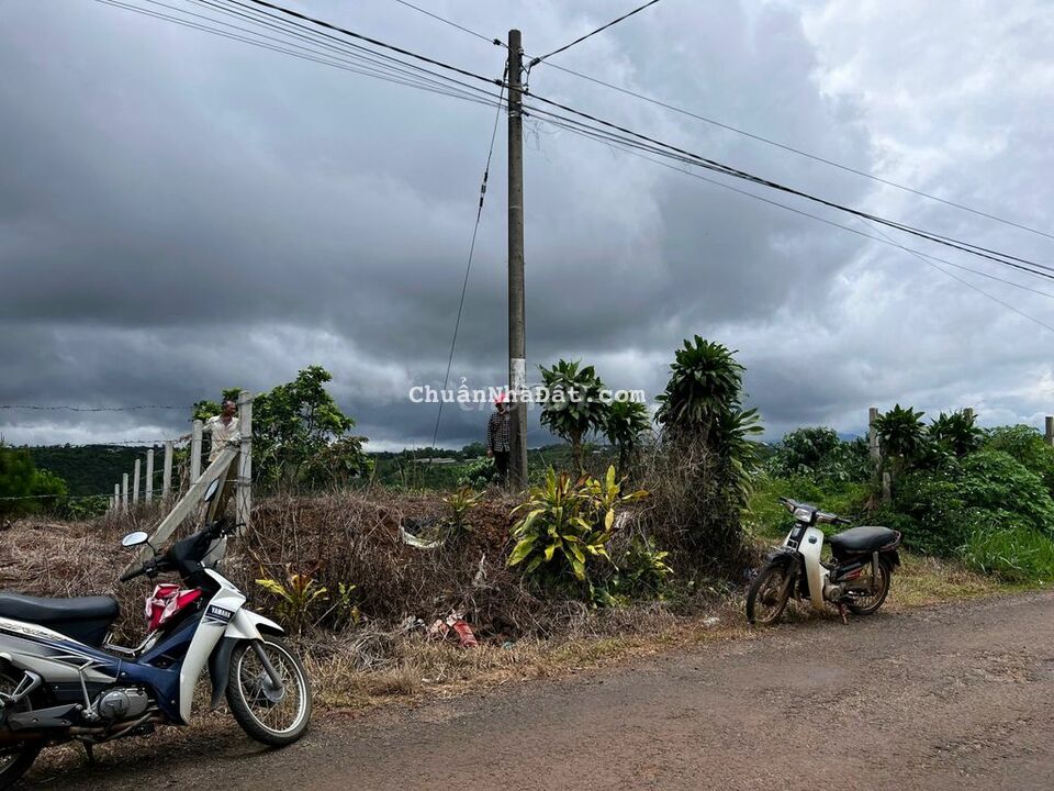 Bán đất mặt tiền đường Trần Nhật Duật - Đambri - Bảo Lộc -  Lâm Đồng