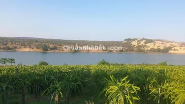 Bán 994m2 thổ cư view Bàu Sen mặt tiền đường 716, Hoà Thắng