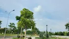 Chính chủ bán lô đất 80m2 đường 13m huyện Bến Lức,SHR