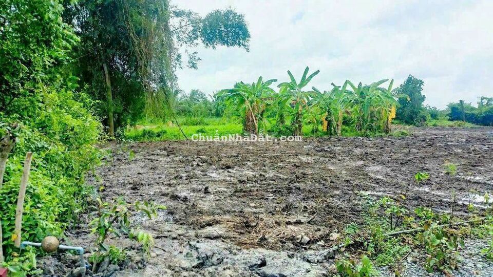 830m2 thổ + vườn nền sẵn đường xe bán tải tới đất