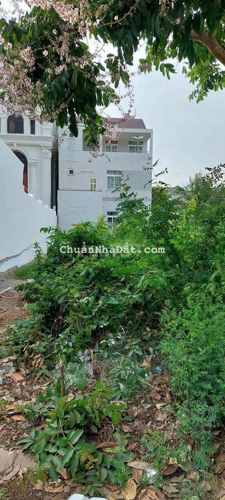 BÁN ĐẤT NỀN KDC SAO MAI ĐS2 PHƯỜNG 7 BT