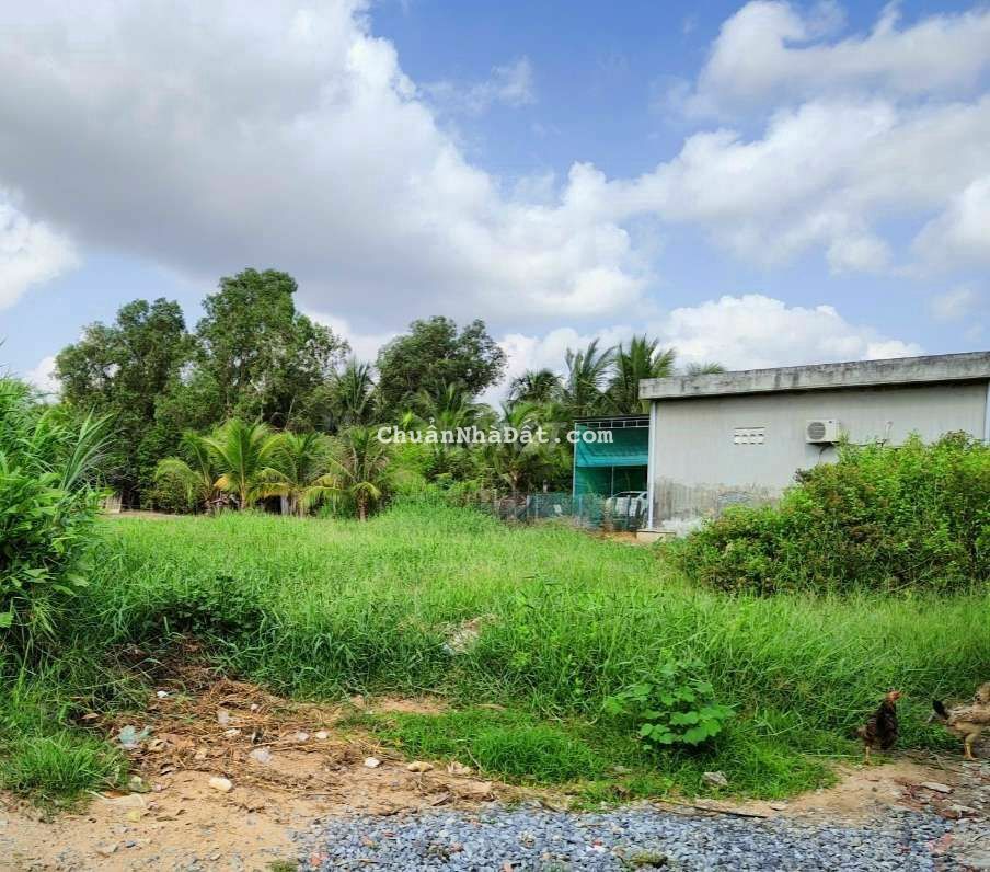 Đất Thổ cư phường Phú Khương