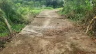 NỀN 6X28M CÓ 100M THỔ P.PHÚ TÂN CÁCH VÀNH ĐAI 200M