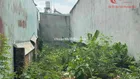 Bán lô đất SHR phường Tân Mai Biên Hoà Đồng Nai - Dt: 4x19,5 đất full