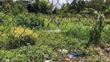 Nền 198m2 sổ Hồng CLN vuông vức Hẻm Nhánh đường Hàng Gòn cách QL1 1km