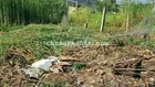 bán nhanh 215m thổ long khê cần đước