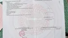 Chủ kẹt cần bán gấp 500m2 đất vườn tại Cần Giuộc