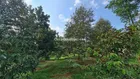 Bán Vườn Sầu Riêng 2493m2. Có 100m2 thổ tại Xuân Bảo.Cẩm Mỹ. Đồng Nai