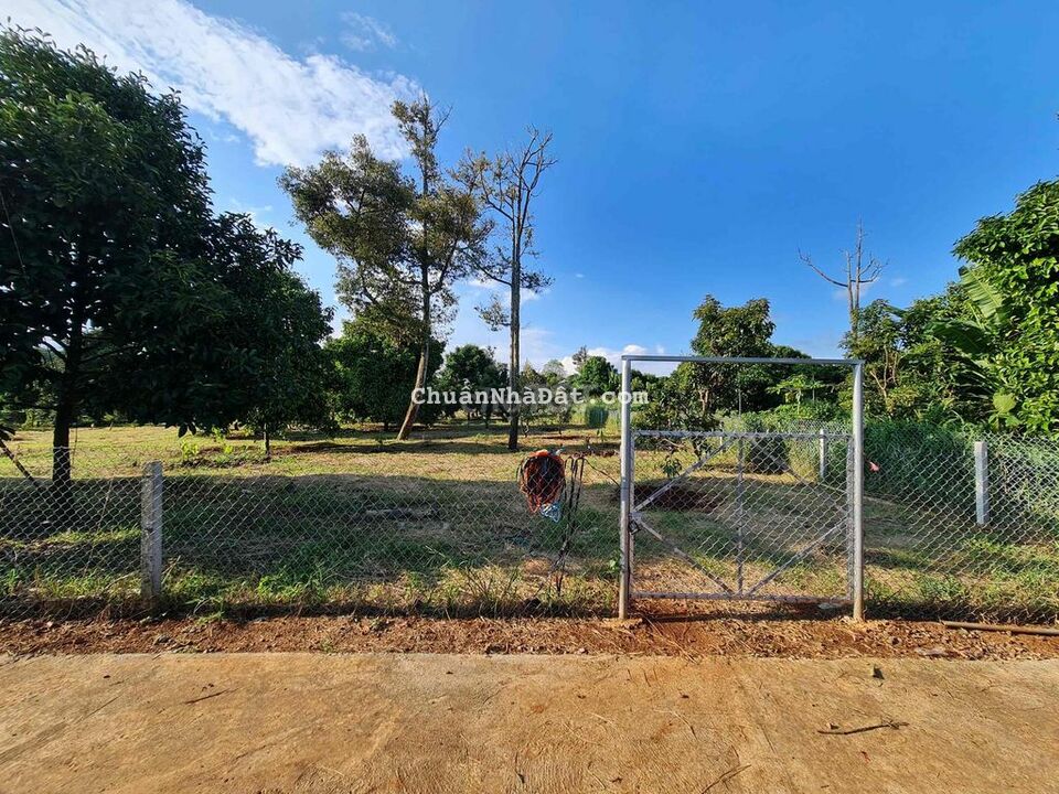 Bán Vườn Trái. HXH. Xuân Tây, Cẩm Mỹ, Đồng Nai