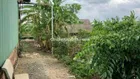 Đất vườn ngộp(10x100),Tân Thạnh Tây,Củ Chi